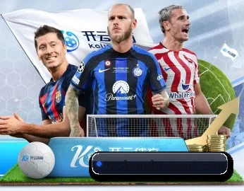 半岛综合的故事 - 体育资讯内容服务