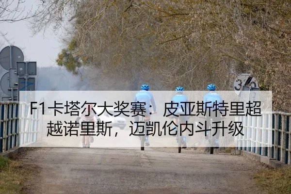 F1卡塔尔大奖赛：皮亚斯特里超越诺里斯，迈凯伦内斗升级